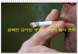 담배만 끊어도 생기는 8가지 몸의 변화