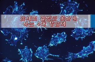 암세포 얼씬도 못하게 하는 4대 항암제