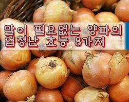 말이 필요없는 양파의 엄청난 효능 8가지