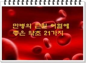 어혈에 좋은 약초 21가지