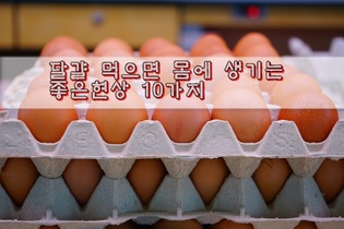 달걀 먹으면 몸에 생기는 좋은현상 10가지