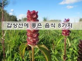 갑상선에 좋은 음식 8가지