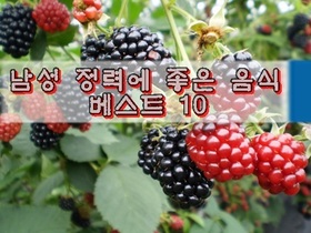 남성 정력에 좋은 음식 베스트 10