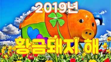 2019년 황금돼지띠 기해년 새해 인사 종결자