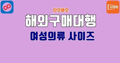 여성 의류 사이즈표