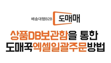 도매매 활용법 3탄! 도매매 엑셀 일괄주문 방법 가이드
