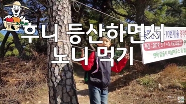 노니 아로니아 후니방송 입니다