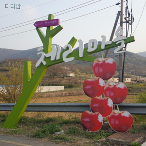 신토불이 국내산 경주체리 2kg