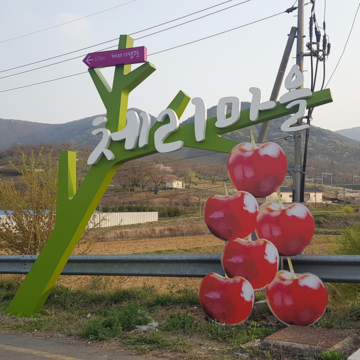 신토불이 국내산 경주체리 2kg
