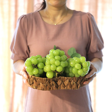 고당도 샤인머스켓 프리미엄고당도맛 포도 2kg