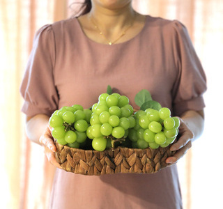 고당도 샤인머스켓 프리미엄고당도맛 포도 2kg
